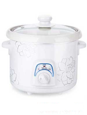 子恩多功能電燉鍋