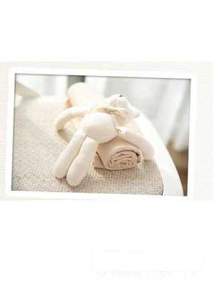 �Ѷ���ؐ���ی����B�w��