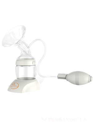 ��������������ɫ