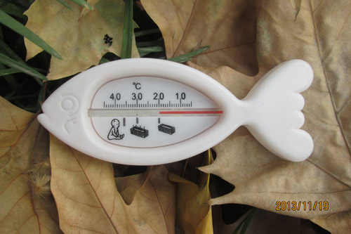 ���ѐ�С�~�ض�Ӌ(j��)