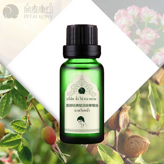  ��̩���@�沿���S�x�Ħ����