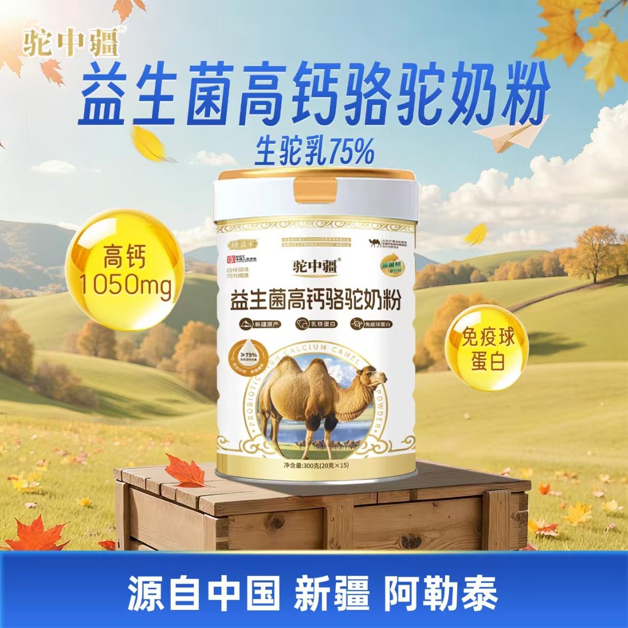 �½�����̩��Դ-��н����������}���̷�300�˗l��  �S��ֱ��