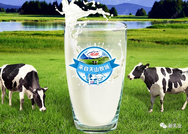 һ�ښ�������� 10 �ҹ�˾���@��������Ҫ�@ô����