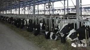 һ�ښ�������� 10 �ҹ�˾���@��������Ҫ�@ô����