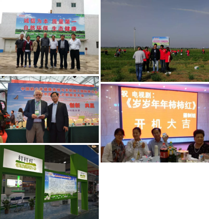 ����Ә�����I(y��)���޹�˾ ���ʡ��Ʒ�|(zh��)����ȫ�·��������]��I(y��)