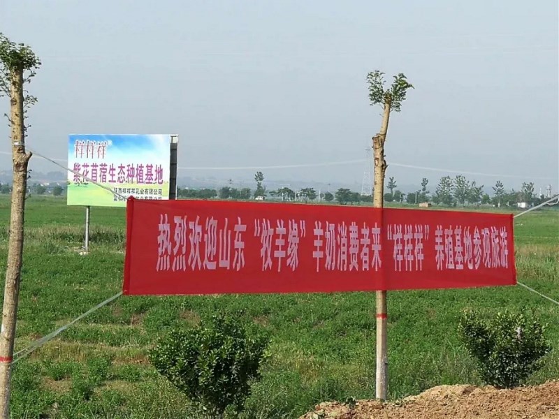 ����Ә�����I(y��)���޹�˾ ���ʡ��Ʒ�|(zh��)����ȫ�·��������]��I(y��)