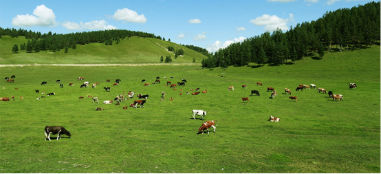 ��(y��u)��ĸ�����β�������һ�I�������ͯ�ИI(y��)����ĸ��(j��)��ƽ�_(t��i)