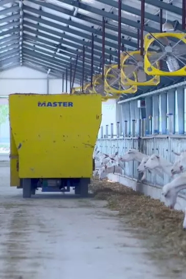 ���M(j��n)�Ї����̳ǣ�ȥ̽����һ�������̡�����Ĺ���