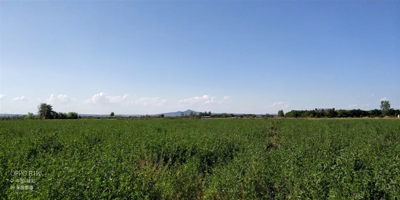 ���M(j��n)�Ї����̳���ȥ̽����һ�������̡�����Ĺ���