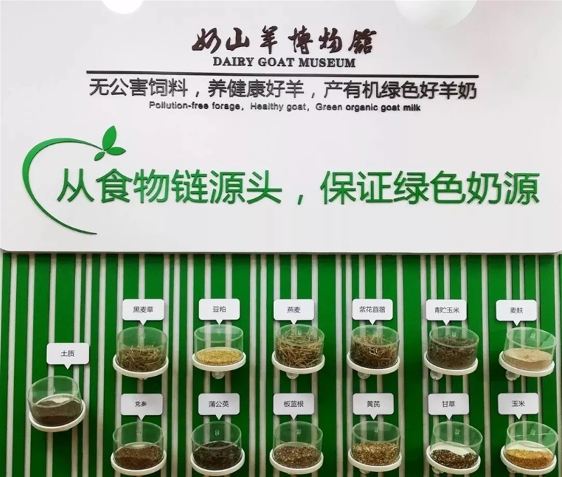 ���M(j��n)�Ї����̳���ȥ̽����һ�������̡�����Ĺ���