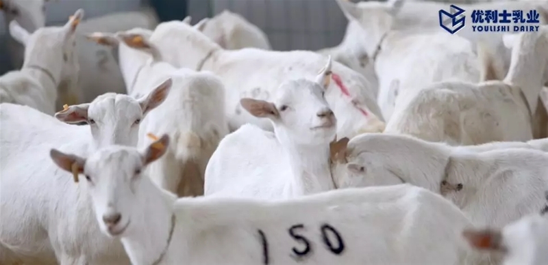 ���M(j��n)�Ї����̳���ȥ̽����һ�������̡�����Ĺ���