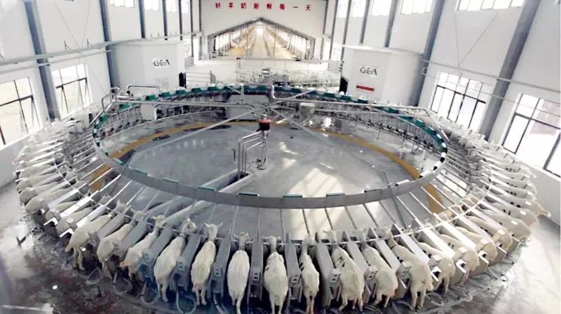 ���M(j��n)�Ї����̳���ȥ̽����һ�������̡�����Ĺ���