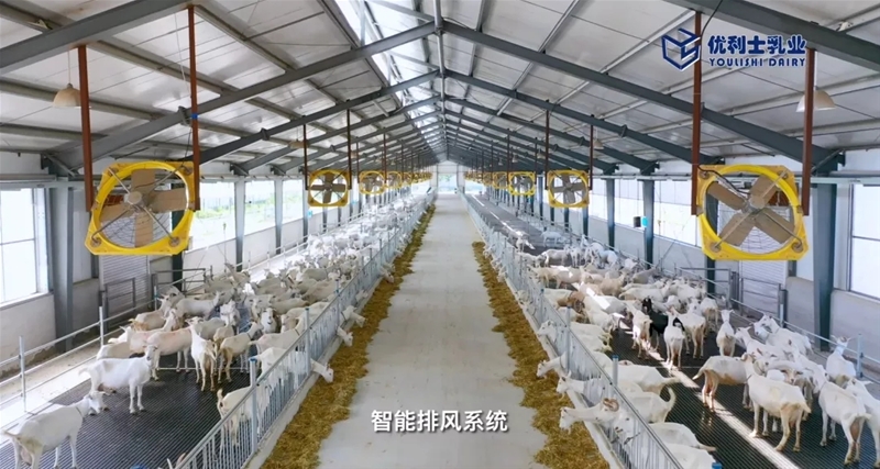 ���M(j��n)�Ї����̳���ȥ̽����һ�������̡�����Ĺ���