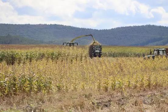 С�굽 | ��һ��(g��)�~���Y(ji��)�^(gu��)ȥ��һ��