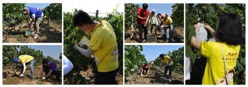 ������c��ů�������־Ը�F(tu��n)��̫ꖴ�һ�����^�����ﶬ