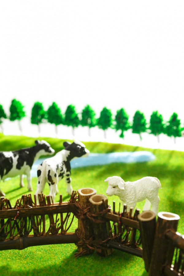 �߶��̷��Ј�(ch��ng)��(j��ng)��(zh��ng)���ң��������󼊼����