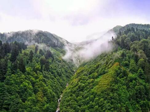 ����Դ���̷� �����������x��