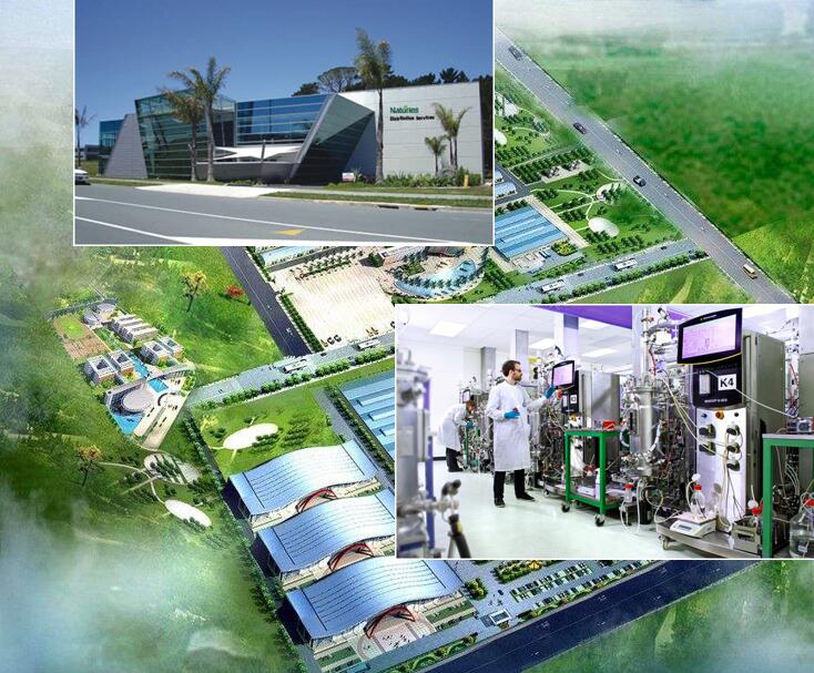 ���ˌ����F������S�ֿ����䷽ ӭ��(l��i)�����r(sh��)��