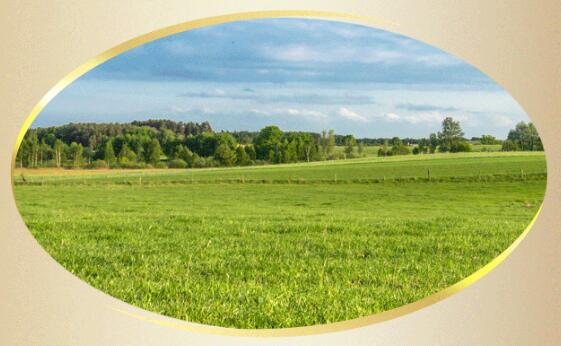 �������|��(y��u)���̷۷�����Դ�ɾͽ���Ʒ�|(zh��)