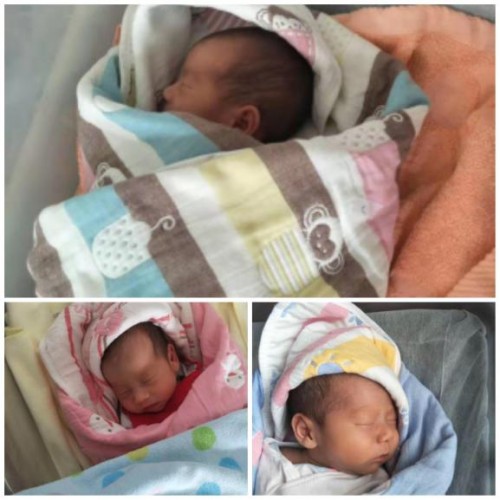 ��ӭ�������x��ͬ������Ʒ���x������̥��ͥ��ٛ(z��ng)ȫ���̷�