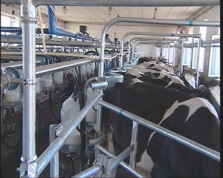 ���S���ȃ�(y��u)ؐ���a(ch��n)��ˇ