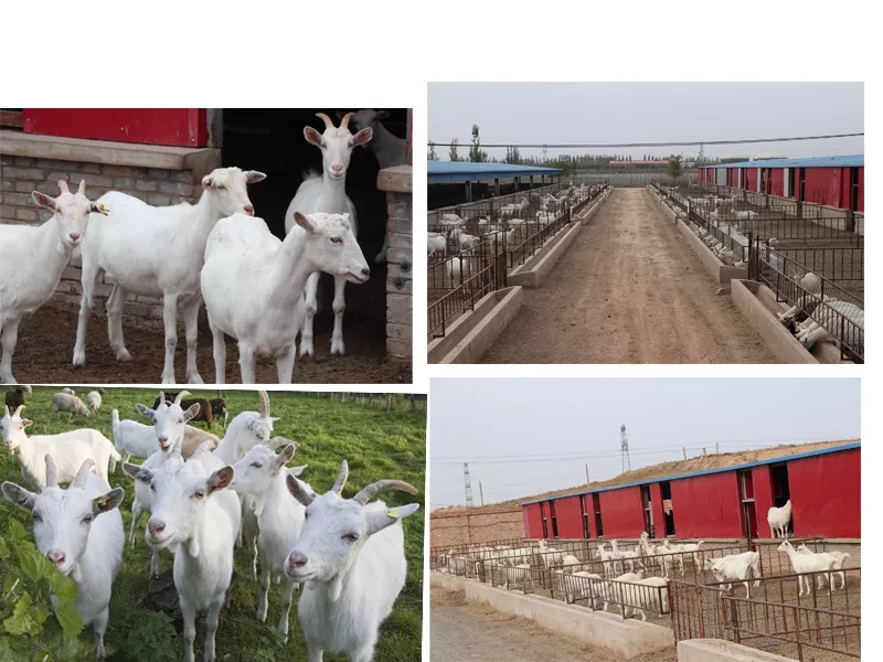 ��߅��(bi��o)��(zh��n)ʾ������(ch��ng)������Ʒ��ȫ�춨���A(ch��)