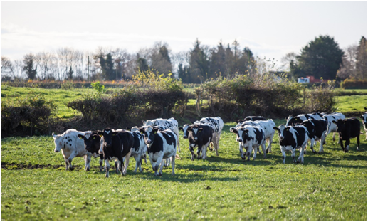 �׼��Ї��������й��S������һ����Դ���ڇ��۠��m¡���_�I(y��)