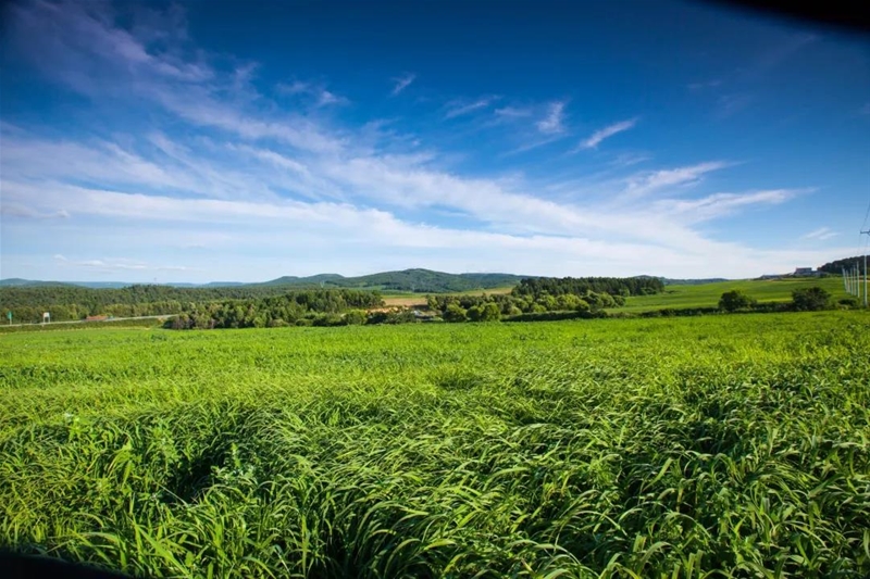 һ��ţ�̵�׃��ӛ ���V��t���ЙC(j��)������