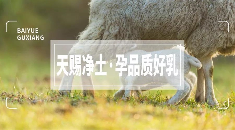 ���S����| ���������o�۳��L��ÿһ�������Ķ������̷۶�ֵ�ÿ��