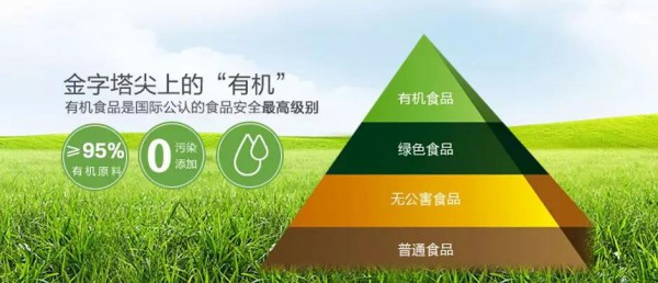 �ЙC(j��)�̷�څ��֮��  �v���ЙC(j��)���º���Ҫ