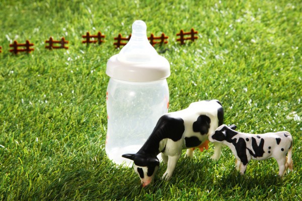 �A�Б�(zh��n)�߄��������̷����ی�ӭ���@�״�C���c