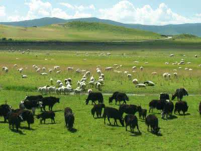 ��������˾�ռ�����_(d��)����ƽ��ˮƽ