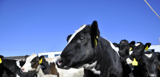 ��I(y��)��(y��ng)��F(xi��n)�������a(ch��n)Ҫ��(j��ng)��(zh��ng)��