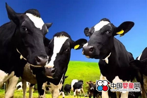 �@��(g��)��ý�w���c(di��n)������ ��ţ���V�����r100�f