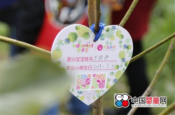 ������80��(li��n)��ֲ�九(ji��) �f�����T�͵���һ�ݶY��