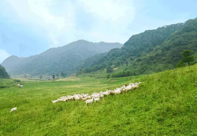 ���ʡ������Ј��l(w��i)�Aһ���W�R����Դ��I(y��)���F(tu��n)���^�{(di��o)��