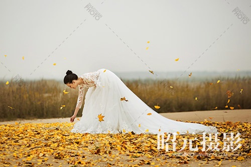 ������Ҫ�������� �������߀�Æ���