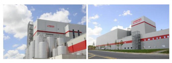 ��(ji��n)��Ʒ�|(zh��)��ʥԪ��(y��u)�����Ƈ�(gu��)�����d