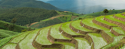 �A�ό�ؐ�ЙC(j��)���׃�����������(j��) ��������I(y��ng)�B(y��ng)������