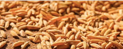 �A�ό�ؐ�ЙC(j��)���׃�����������(j��) ��������I(y��ng)�B(y��ng)������