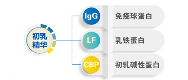 ��֥���׽��{(di��o)����ۼ����ǈ� �۽�����CBP�I��ȫ���x������