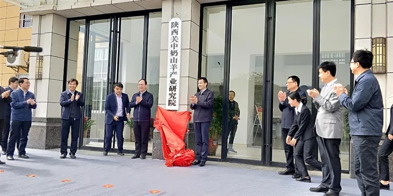 �T������������ ����P(gu��n)����ɽ��a(ch��n)�I(y��)�о�Ժ������