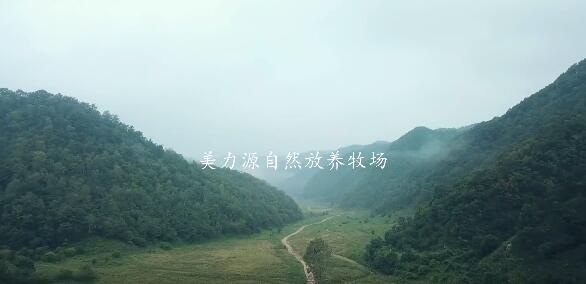 ����Դ��(ji��n)��Ʒ�|(zh��) ��Ӳ�ˌ�(sh��)���fԒ