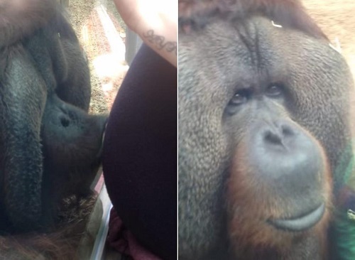 �ȴ������të�����ɫI(xi��n)���ЋD����